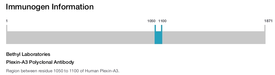 Plexin-A3 Polyclonal Antibody