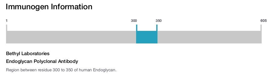 Endoglycan Polyclonal Antibody