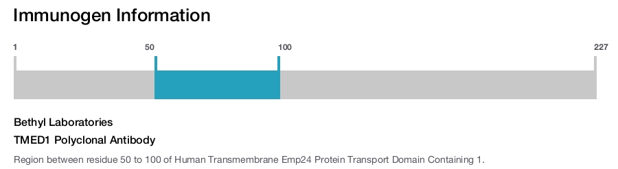 TMED1 Polyclonal Antibody