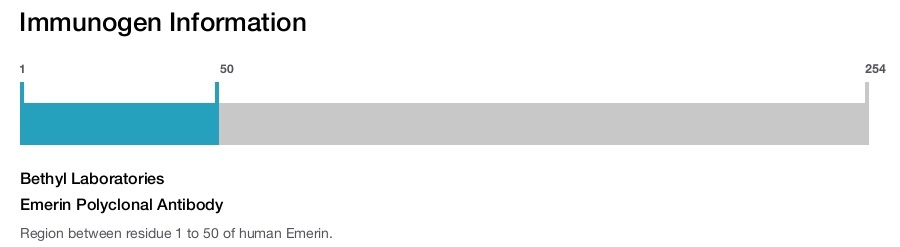 Emerin Polyclonal Antibody