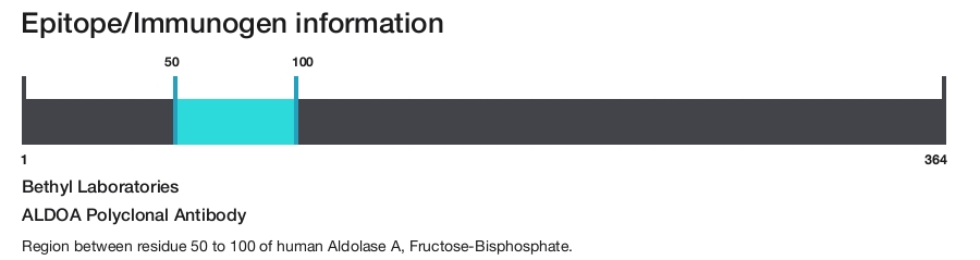ALDOA Polyclonal Antibody