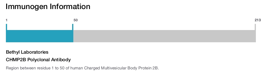 CHMP2B Polyclonal Antibody