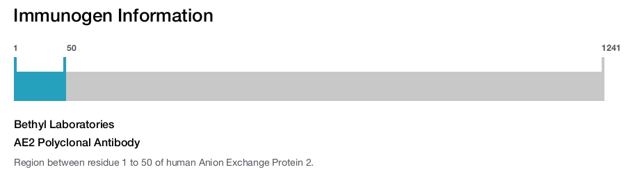 AE2 Polyclonal Antibody