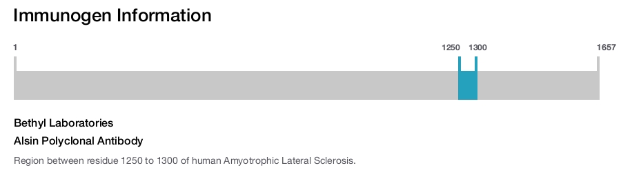 Alsin Polyclonal Antibody