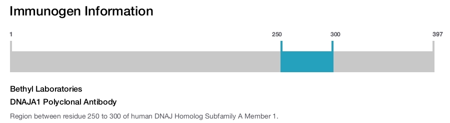 DNAJA1 Polyclonal Antibody