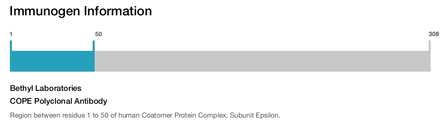 COPE Polyclonal Antibody