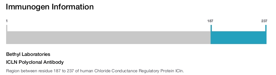 ICLN Polyclonal Antibody