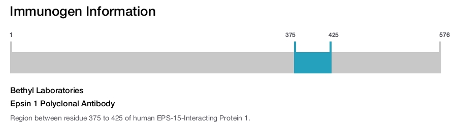Epsin 1 Polyclonal Antibody