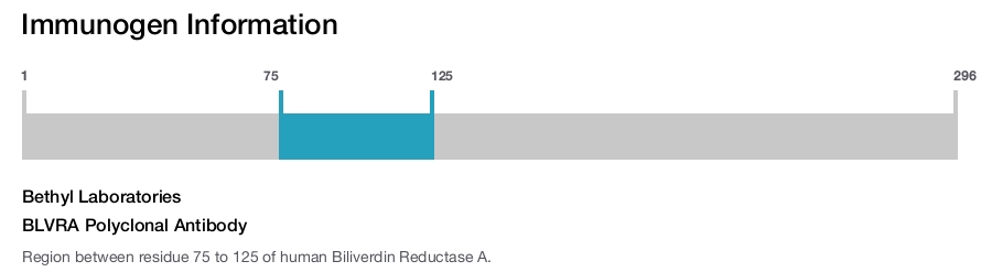 BLVRA Polyclonal Antibody