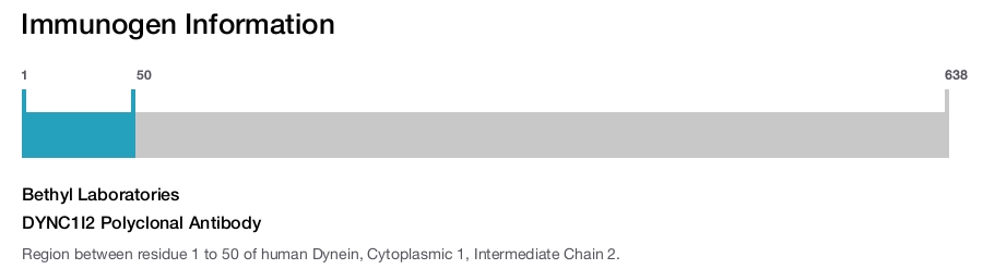 DYNC1I2 Polyclonal Antibody
