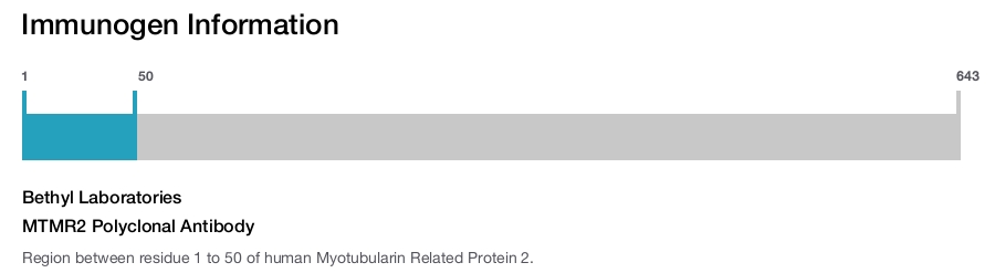 MTMR2 Polyclonal Antibody