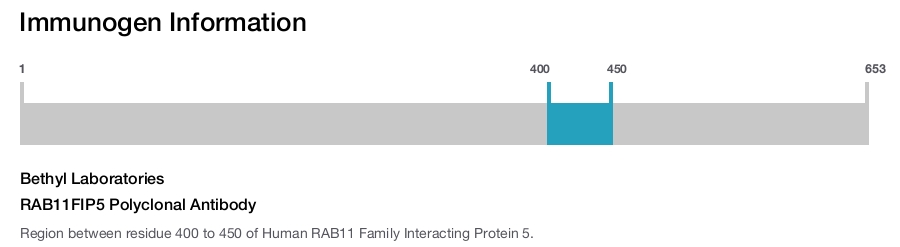 RAB11FIP5 Polyclonal Antibody