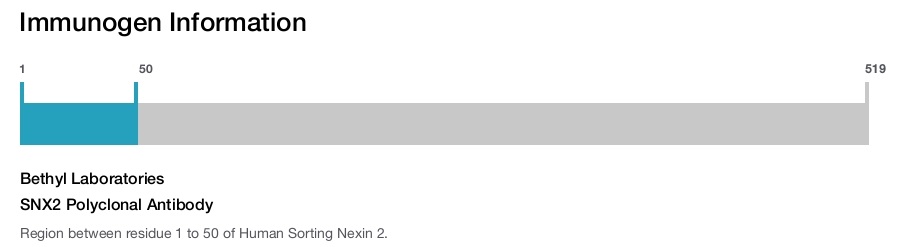 SNX2 Polyclonal Antibody