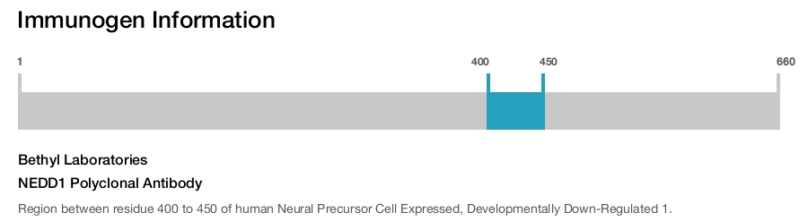 NEDD1 Polyclonal Antibody