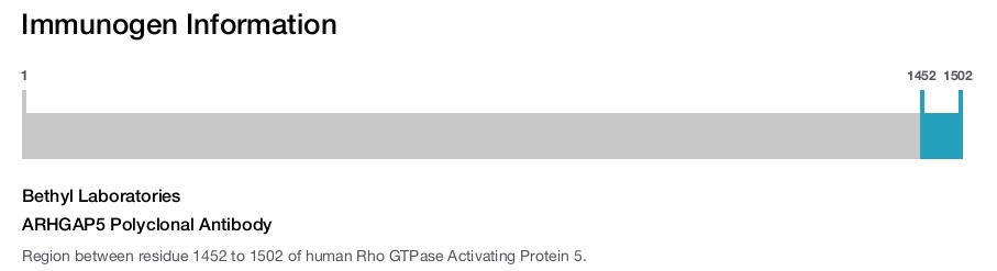 ARHGAP5 Polyclonal Antibody