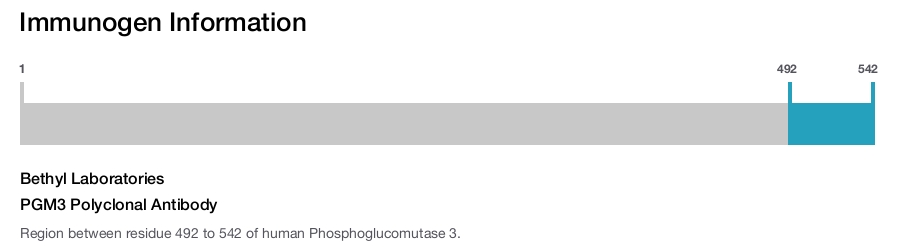 PGM3 Polyclonal Antibody