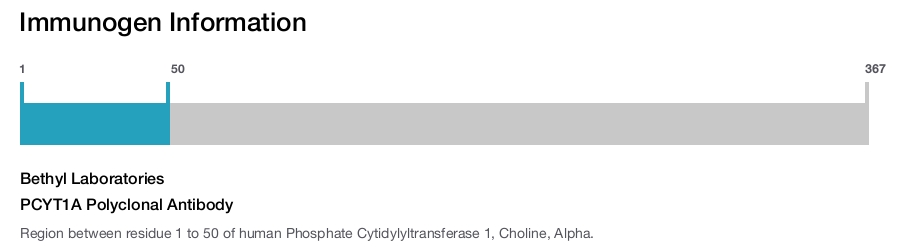 PCYT1A Polyclonal Antibody