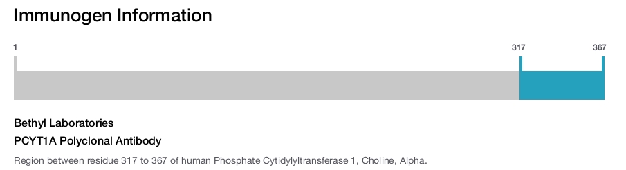 PCYT1A Polyclonal Antibody