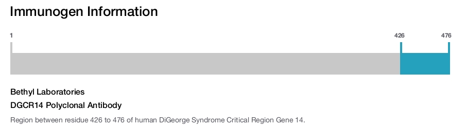 DGCR14 Polyclonal Antibody