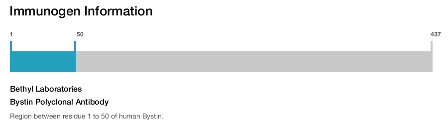 Bystin Polyclonal Antibody