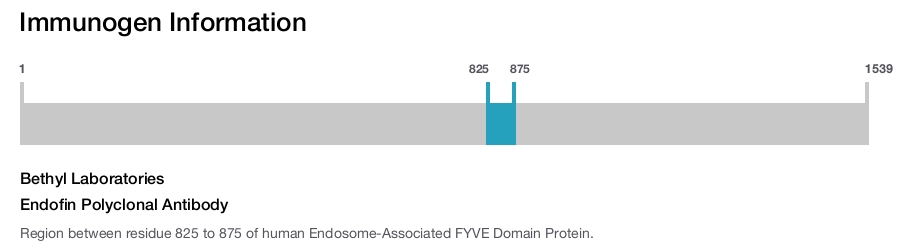 Endofin Polyclonal Antibody