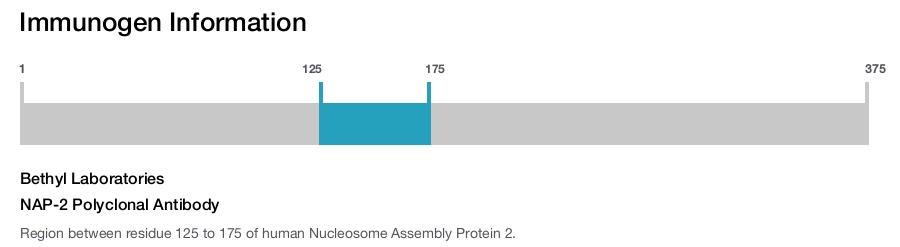 NAP-2 Polyclonal Antibody