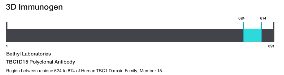 TBC1D15 Polyclonal Antibody