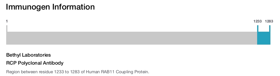 RCP Polyclonal Antibody