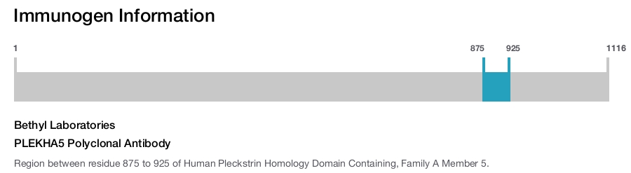 PLEKHA5 Polyclonal Antibody