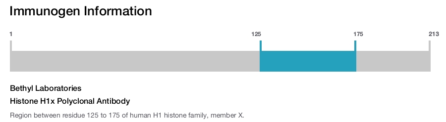 Histone H1x Polyclonal Antibody