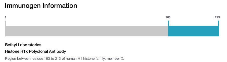 Histone H1x Polyclonal Antibody