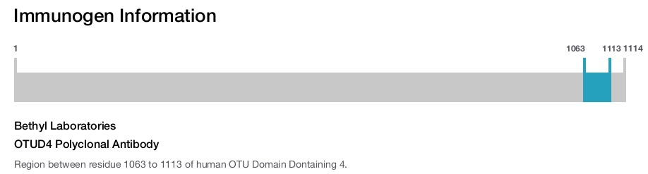 OTUD4 Polyclonal Antibody