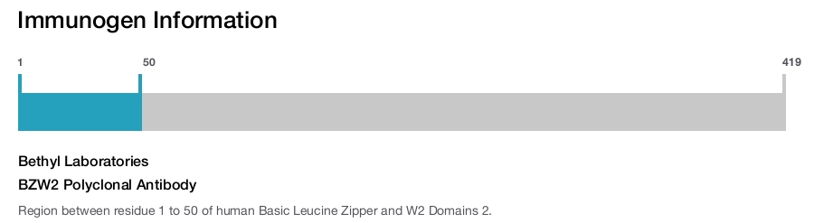 BZW2 Polyclonal Antibody