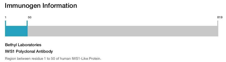 IWS1 Polyclonal Antibody