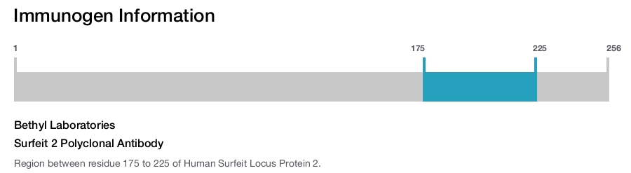 Surfeit 2 Polyclonal Antibody