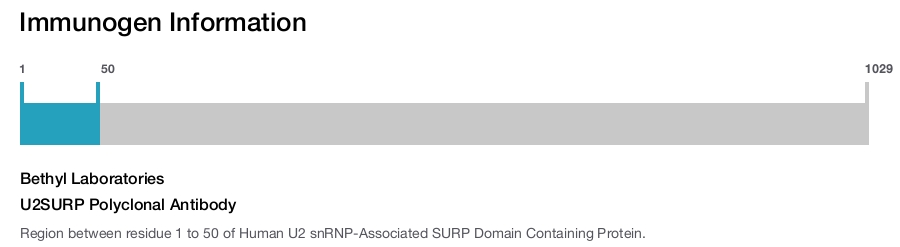 U2SURP Polyclonal Antibody
