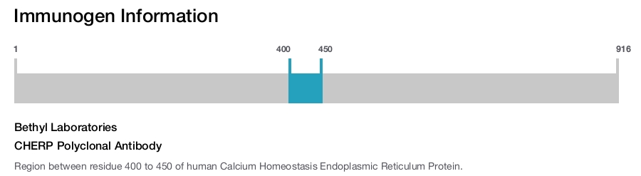 CHERP Polyclonal Antibody