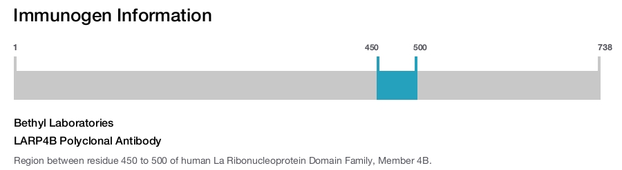 LARP4B Polyclonal Antibody