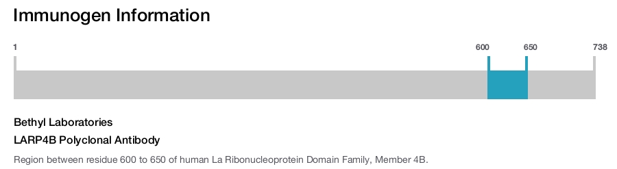 LARP4B Polyclonal Antibody