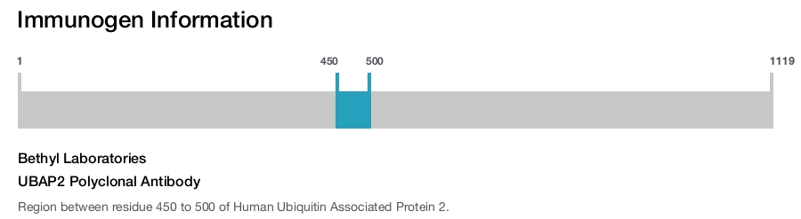 UBAP2 Polyclonal Antibody