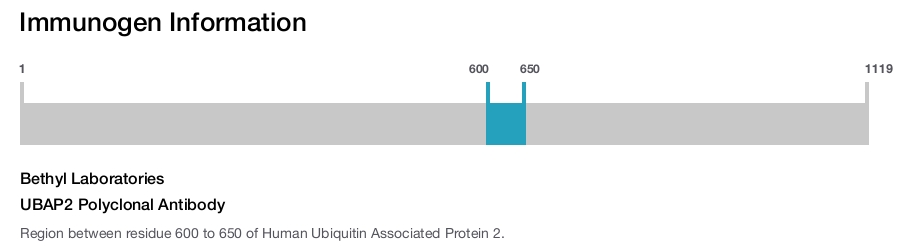 UBAP2 Polyclonal Antibody