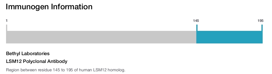 LSM12 Polyclonal Antibody