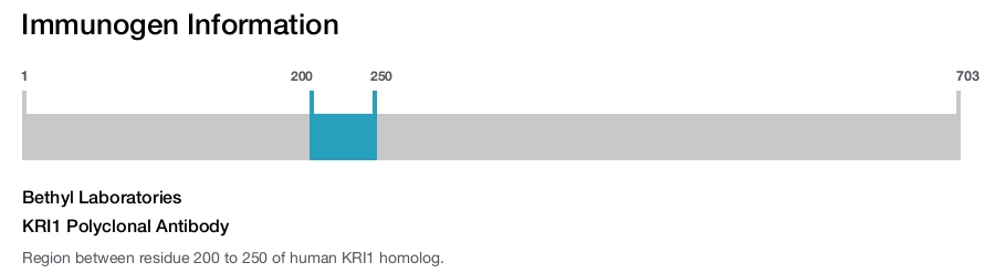 KRI1 Polyclonal Antibody