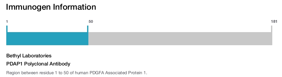 PDAP1 Polyclonal Antibody