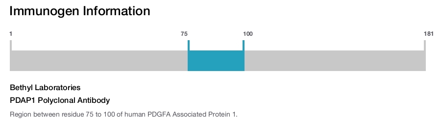 PDAP1 Polyclonal Antibody