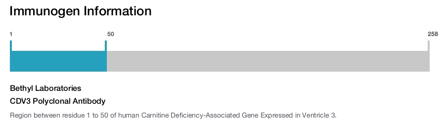 CDV3 Polyclonal Antibody