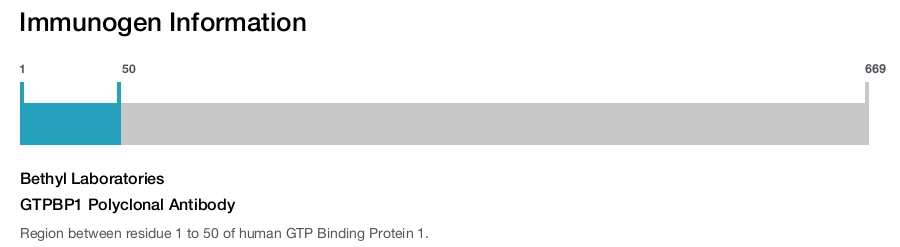 GTPBP1 Polyclonal Antibody