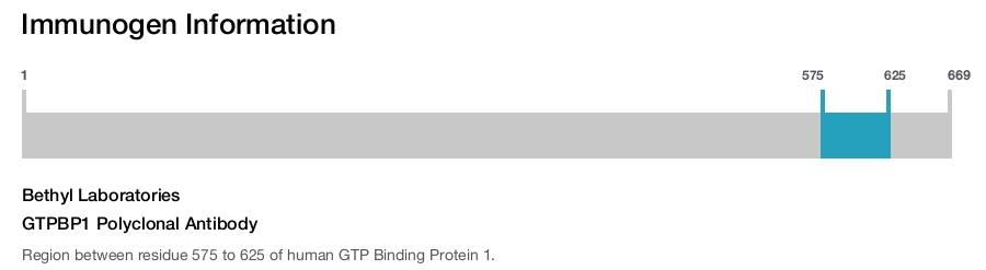 GTPBP1 Polyclonal Antibody
