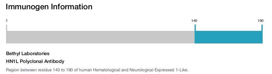 HN1L Polyclonal Antibody