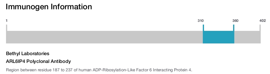 ARL6IP4 Polyclonal Antibody